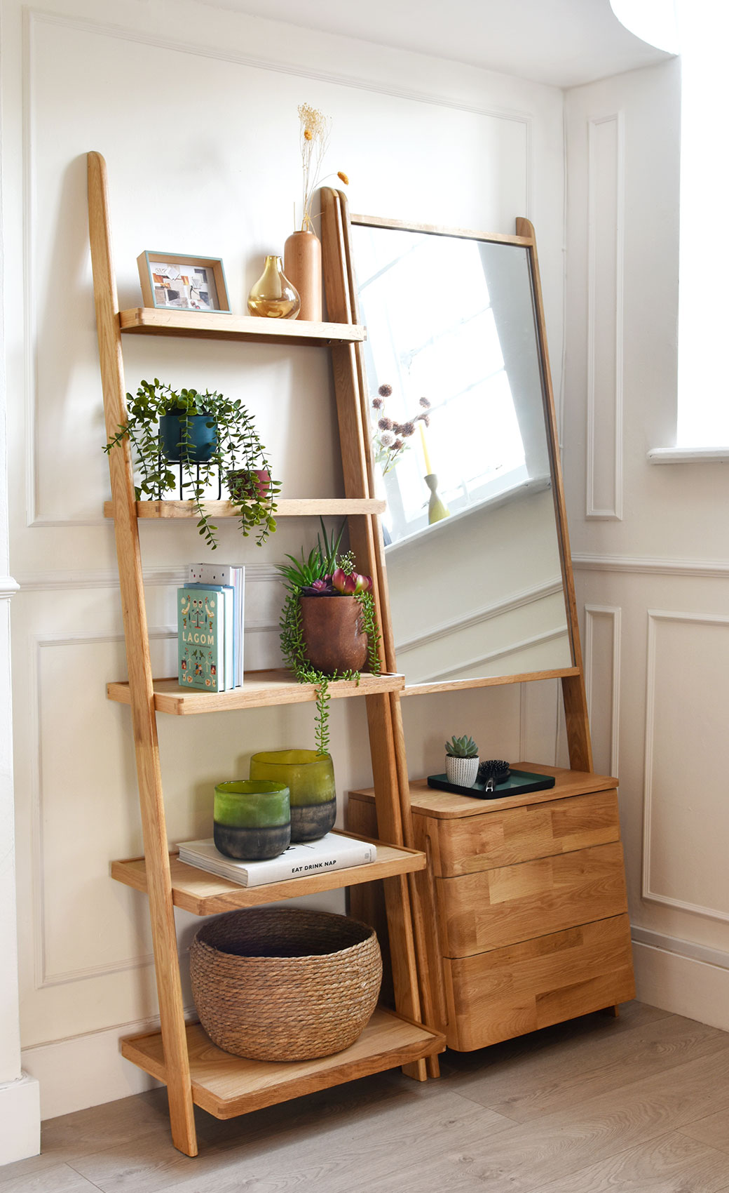 LEANING LADDDER FURNITURE