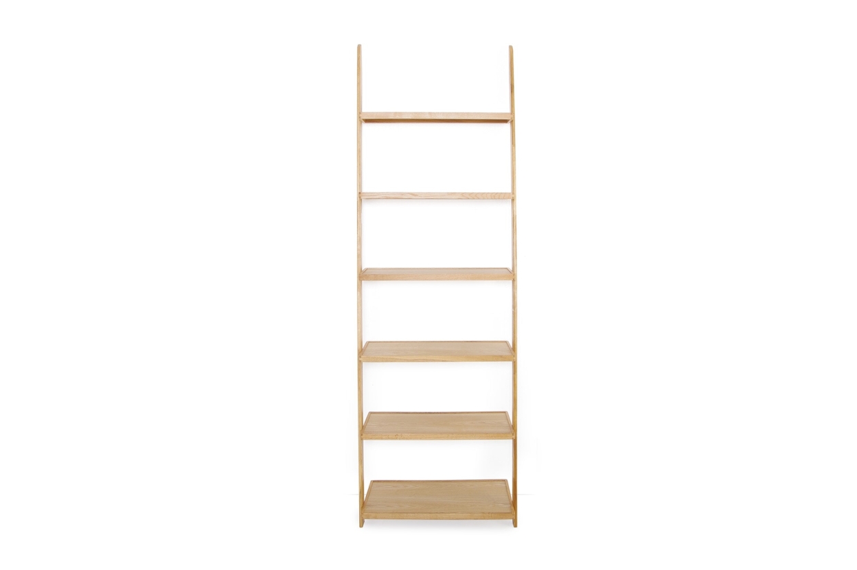 FC Tall Leaning Ladder Shelves