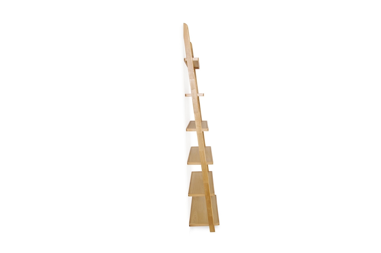 FC Tall Leaning Ladder Shelves