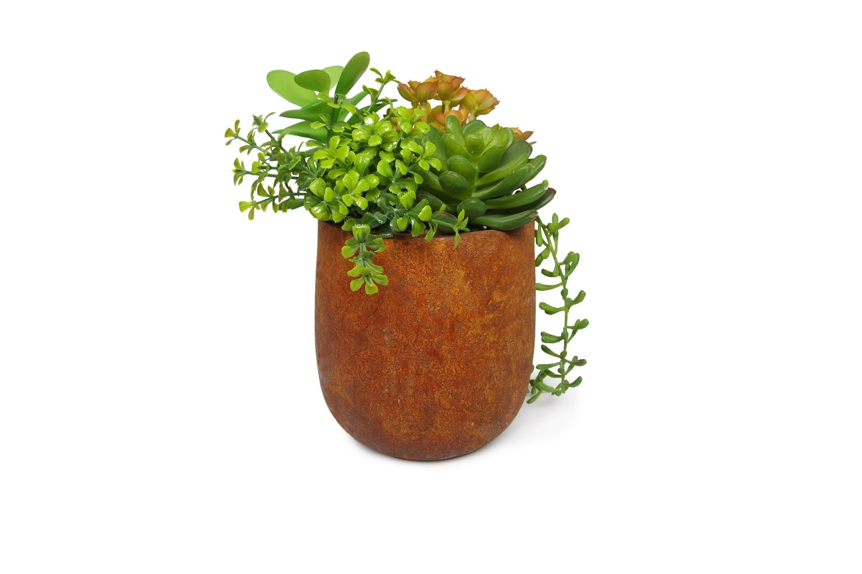 FC Small Moab Succulent Garden Faux Plant Uf Ng
