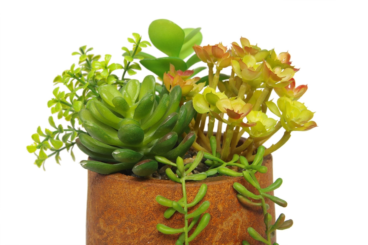 FC Small Moab Succulent Garden Faux Plant