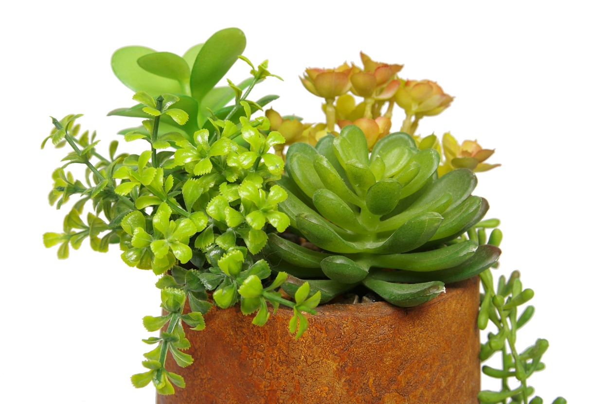 FC Small Moab Succulent Garden Faux Plant