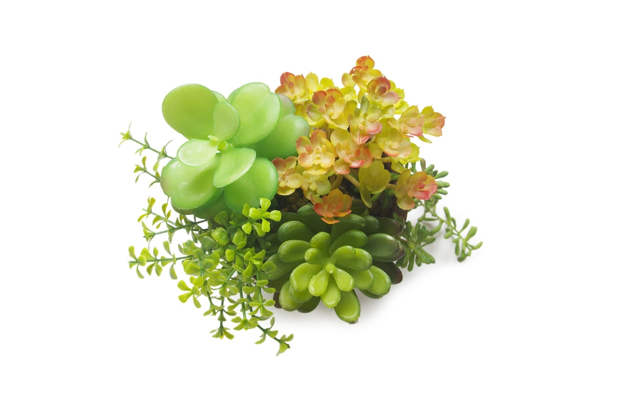 FC Small Moab Succulent Garden Faux Plant