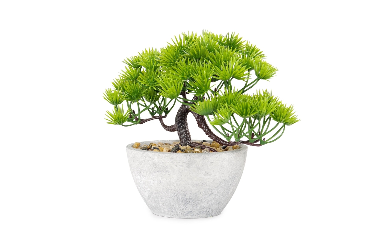 FC Five Needle Faux Bonsai