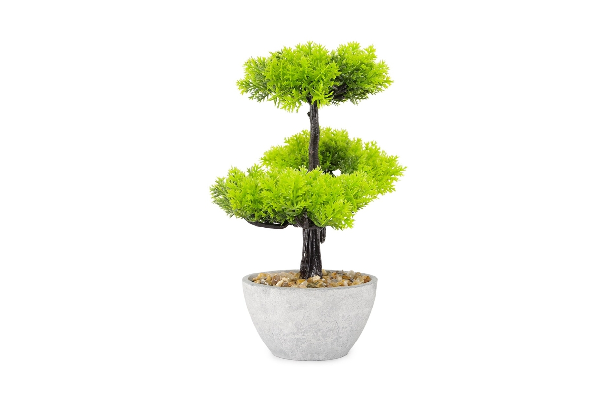 FC Ternion Faux Bonsai