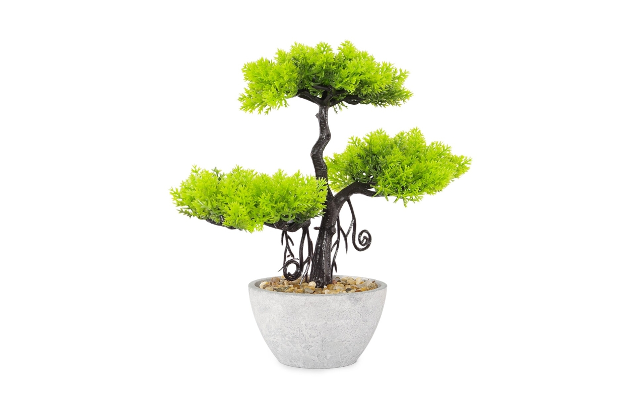 FC Ternion Faux Bonsai