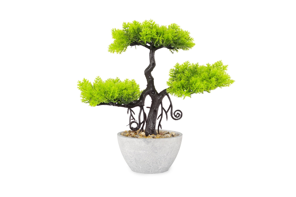 FC Ternion Faux Bonsai