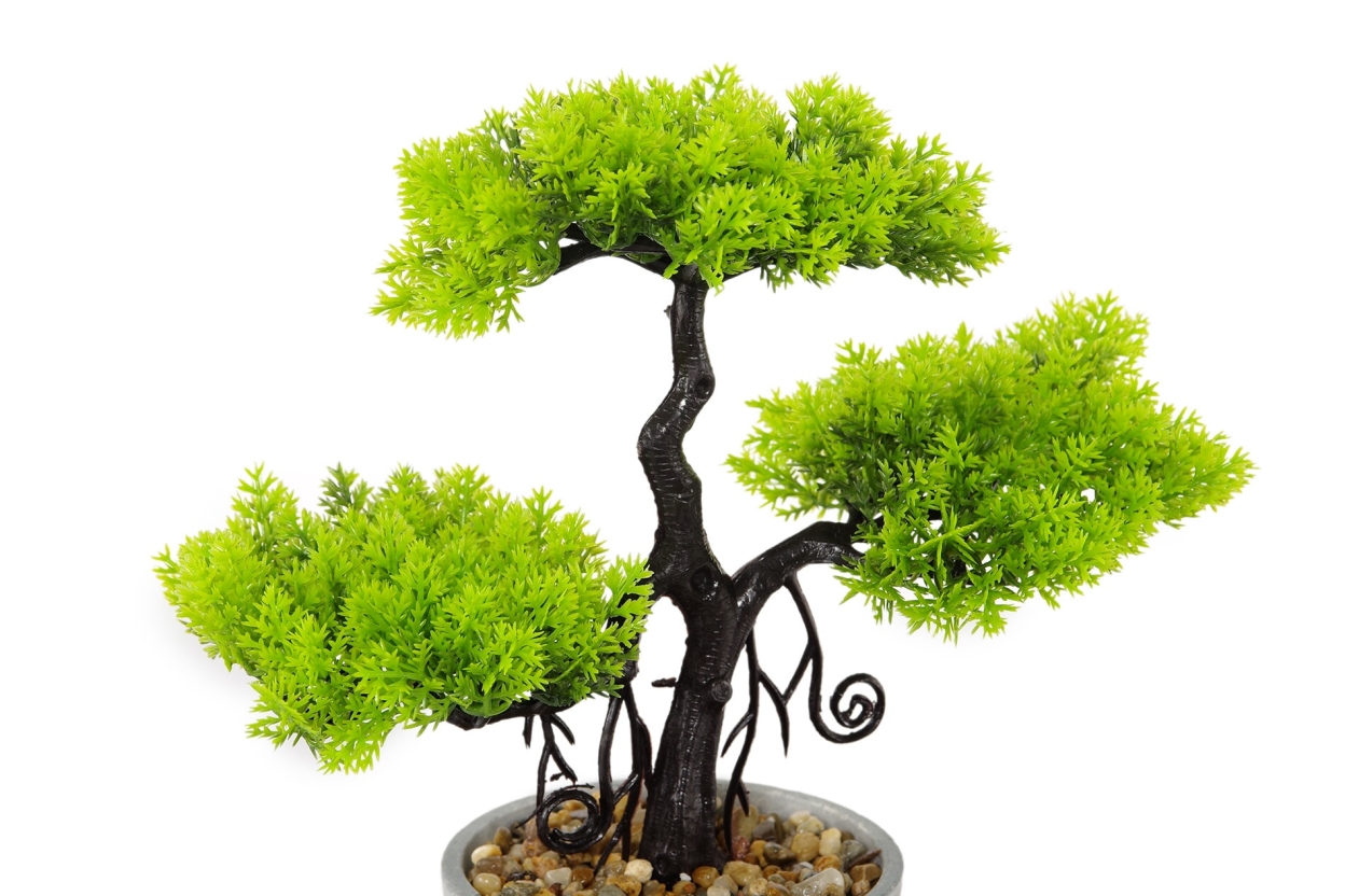 FC Ternion Faux Bonsai