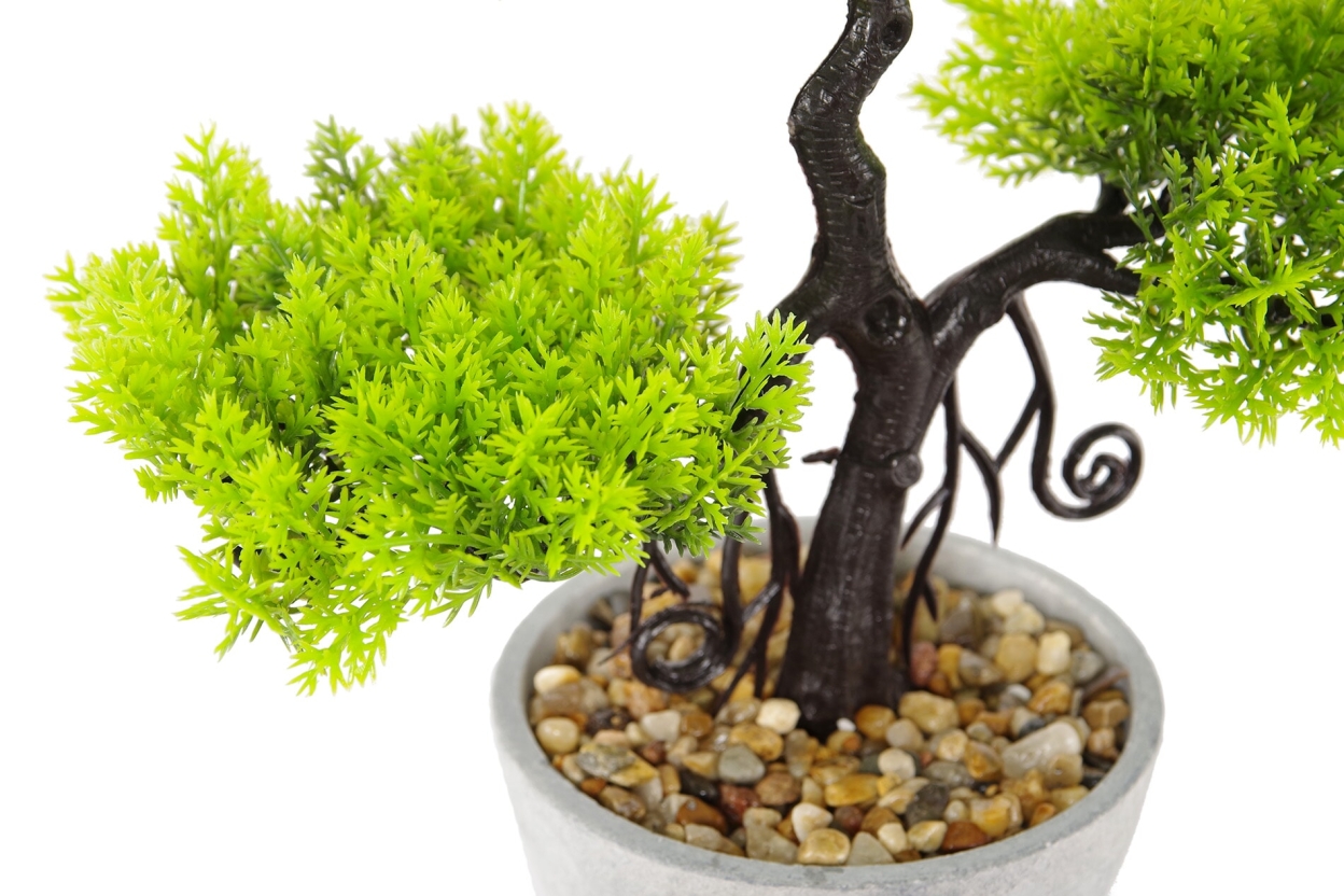 FC Ternion Faux Bonsai