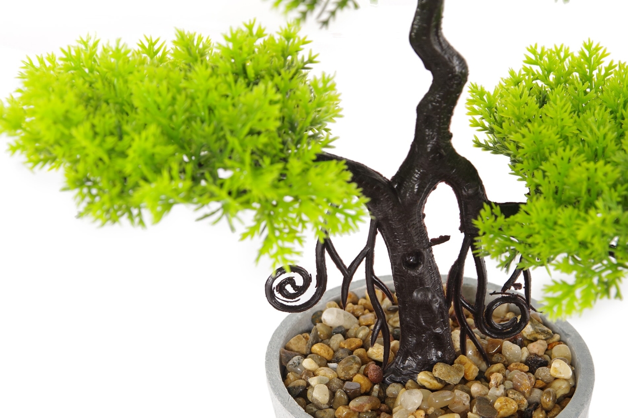 FC Ternion Faux Bonsai