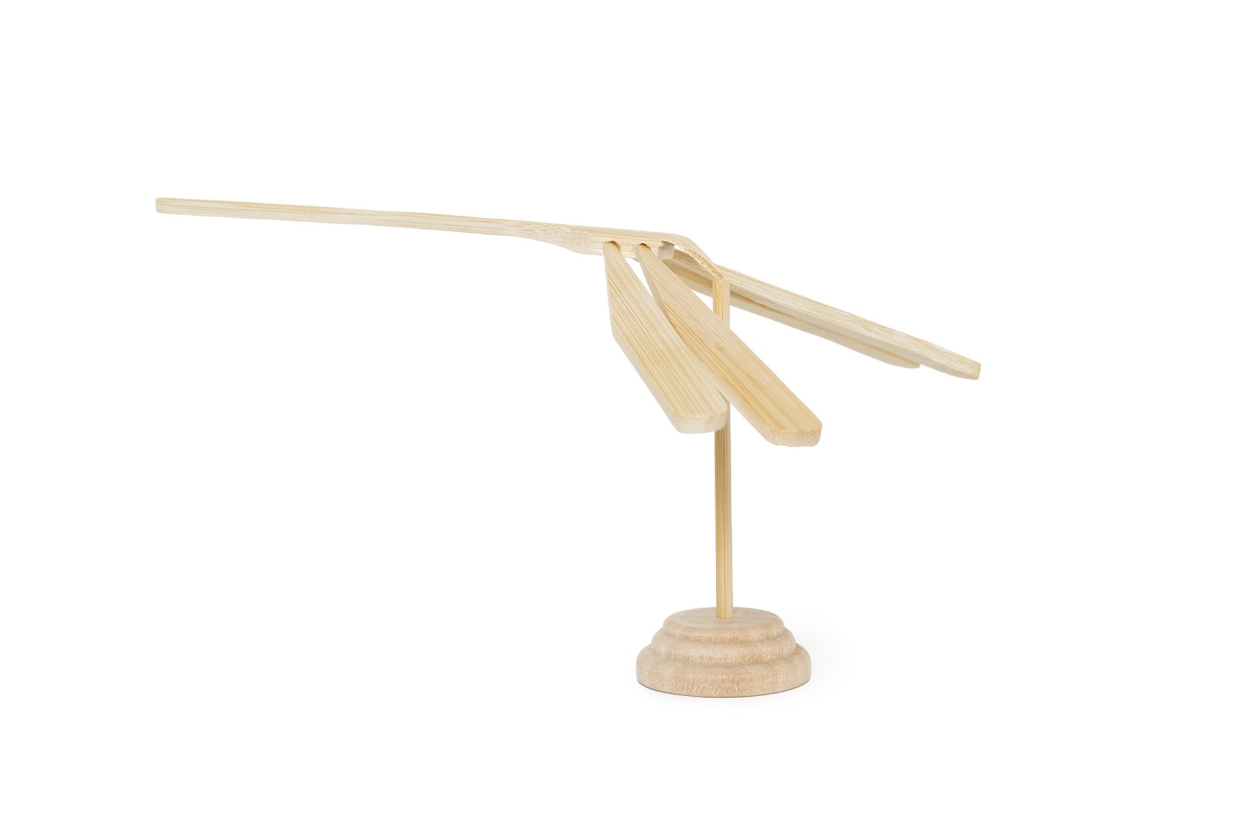 FC Damselfly Bxxc U FC Damselfly Bxxc U