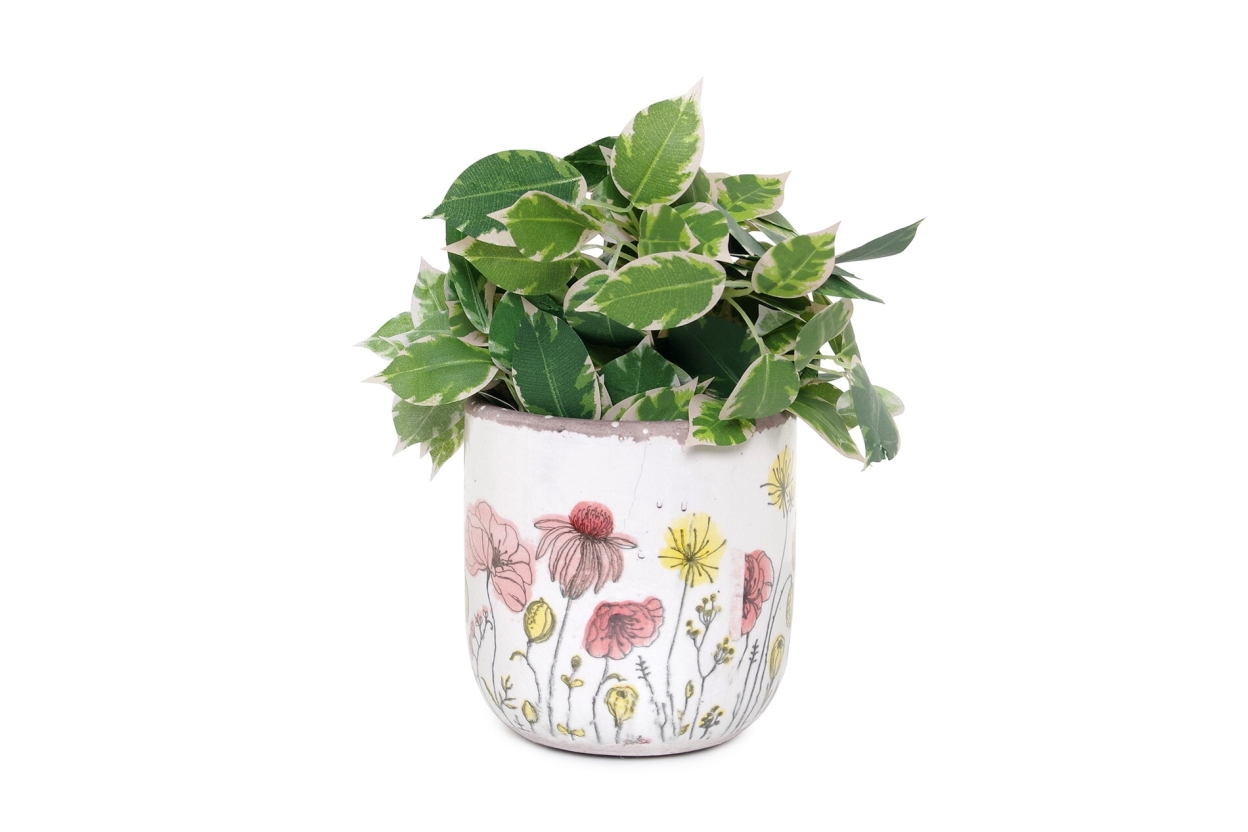 FC Poppies Plant Pot