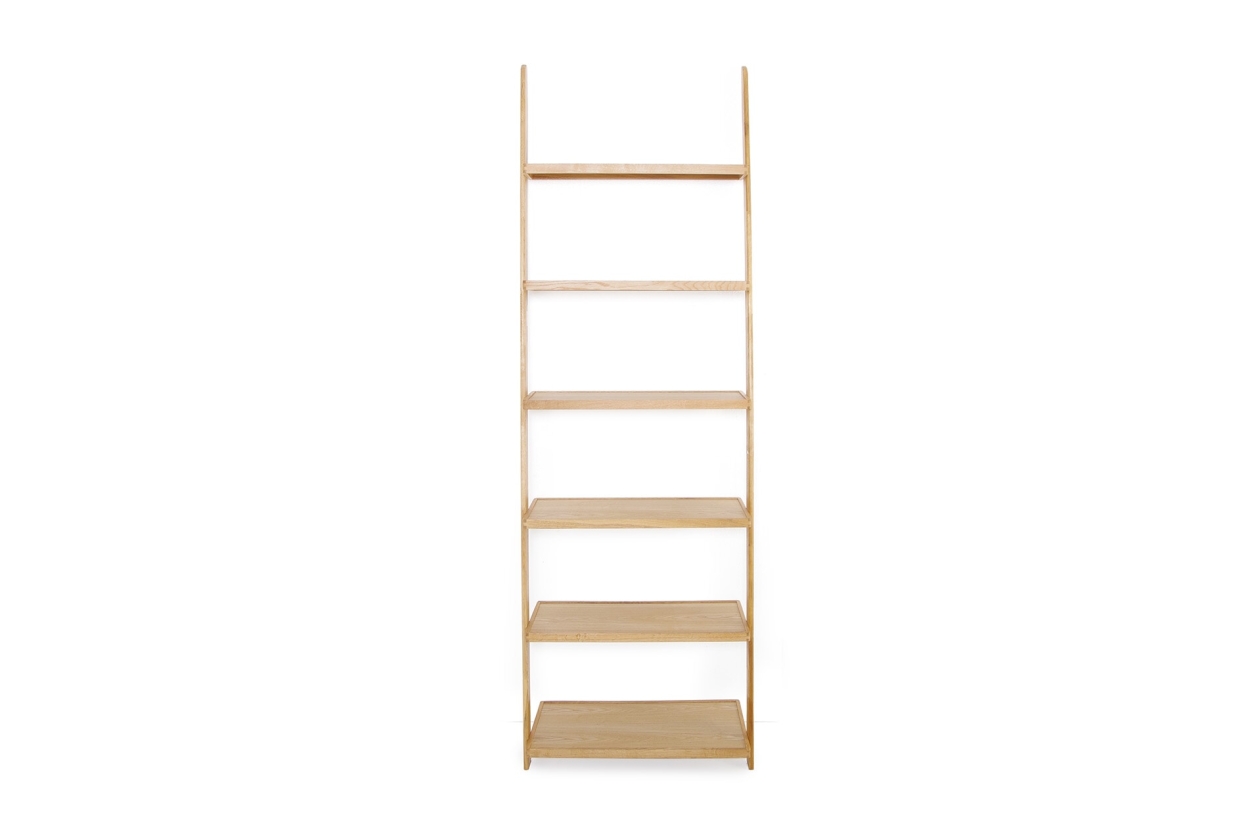 FC Tall Leaning Ladder Shelves