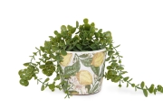 FC Limone Plant Pot