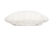 FC Ludlow Cushion Cover Xcm