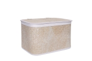 FC Aurel Basket Large