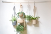 FC Nimes Hanging Basket Lifestyle
