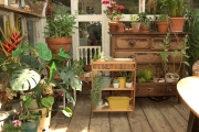 Hana Walnut Plant Stand Bromley LS