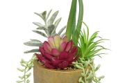 FC Joshua Succulent Garden Faux Plant