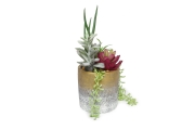 FC Joshua Succulent Garden Faux Plant