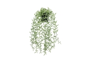 FC Trailing Succulent Faux Plant