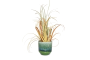 FC Arlet Plant Pot