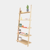 FC Categ Images Web Leaning Ladder