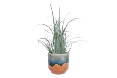 FC Frida Medium Plant Pot