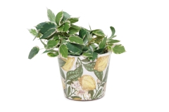FC Limone Plant Pot
