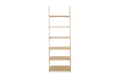 FC Tall Leaning Ladder Shelves