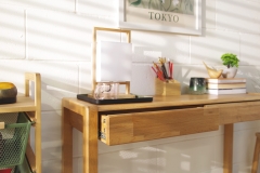 FC Linear Desk LS