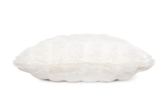 FC Ludlow Cushion Cover Xcm