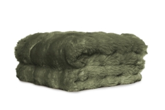FC Ludlow Throw Fawc Bo