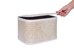 FC Aurel Basket Large