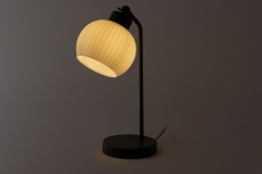 FC Rijji Lamp Olive Green