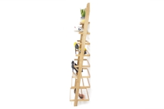 Leaning Ladder Shoe Rack