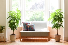 Quad - 2 Seater Birch Double Sofa Bed - Living Room