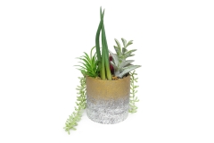 FC Joshua Succulent Garden Faux Plant