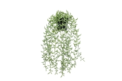 FC Trailing Succulent Faux Plant