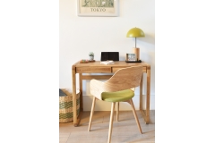 FC Echo Chair
