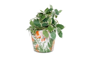 FC Lana Plant Pot