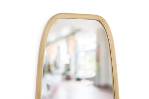 FC Bow Mirror