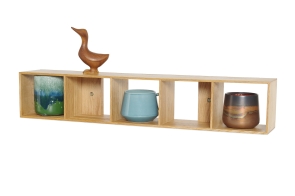Curio Shelf 5 Cube