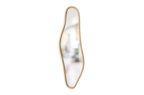 FC Unetta Mirror