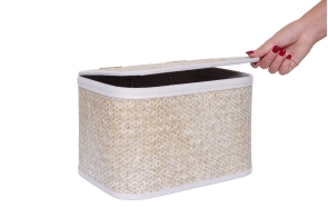 FC Aurel Basket Large