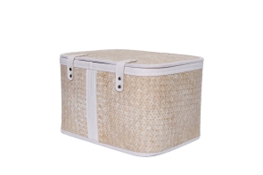 FC Aurel Basket Large