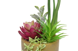 FC Joshua Succulent Garden Faux Plant