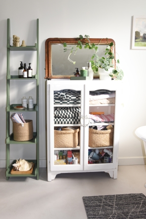 FC MDF Narrow Leaning Ladder HOTH LS