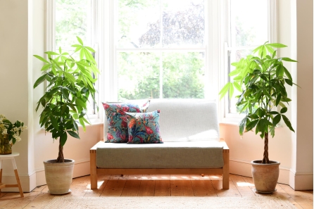 Quad - 2 Seater Birch Double Sofa Bed - Living Room