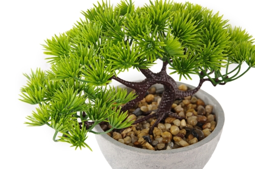 FC Five Needle Faux Bonsai